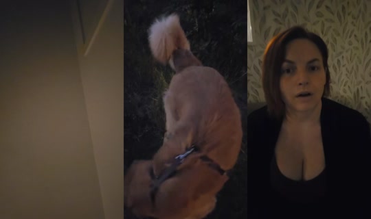nattathechaos's Stream - Jun 18, 2026, 9:03 PM