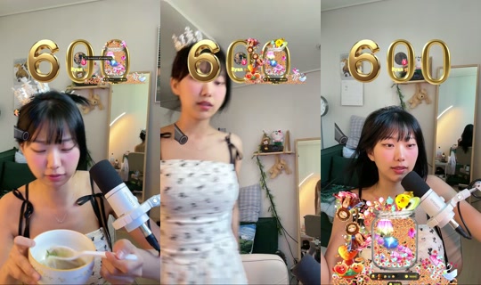 no.5mj's Stream - May 9, 2026, 4:32 AM