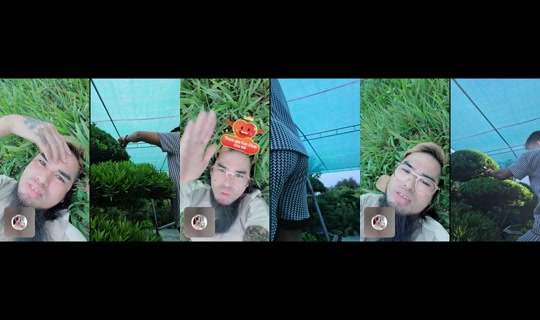 tayrambo_bonsai Enregistré le 9 mai 2026, 10:57