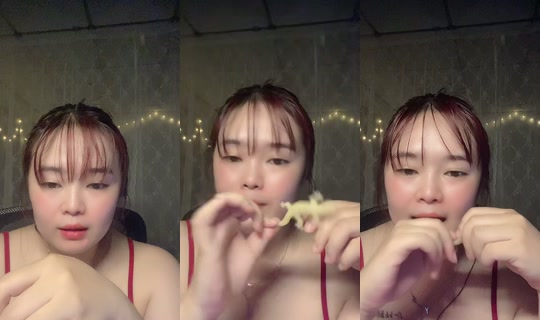wp.yomost06's Stream - Jun 22, 2026, 3:03 PM