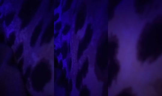 yelizslay3's Stream - May 10, 2026, 1:05 AM