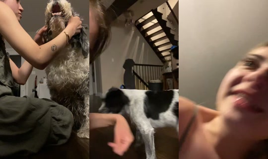 avaawillson's Stream - May 19, 2026, 3:05 AM
