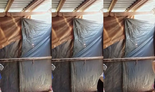 crizia385's Stream - Jun 26, 2026, 1:02 AM