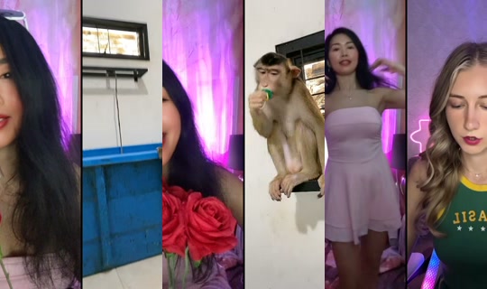 doro.dance8's Stream - May 19, 2026, 10:05 AM