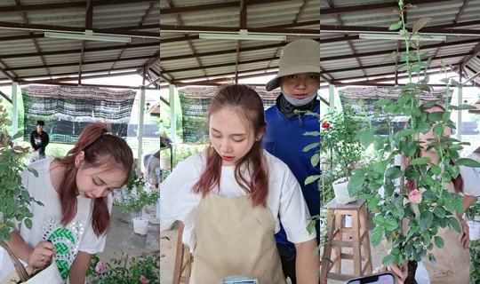 glaowtip's Stream - Jun 24, 2026, 3:38 AM