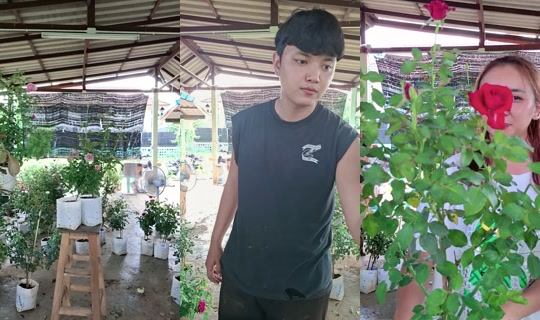 glaowtip's Stream - Jun 24, 2026, 7:57 AM