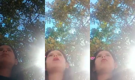 lualaflaca's Stream - May 20, 2026, 5:32 PM