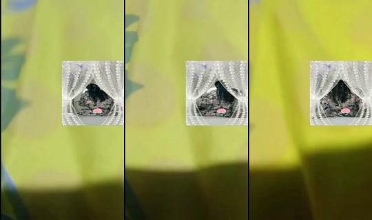 lyleng89458's Stream - Jun 25, 2026, 8:46 PM