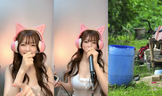 momokamomo11's Stream - May 22, 2026, 2:58 PM