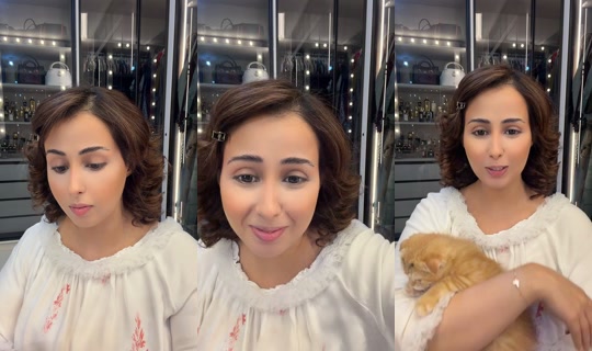 no.teeetee's Stream - Jun 23, 2026, 11:07 AM