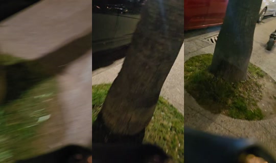 scorpioo265's Stream - May 17, 2026, 7:20 PM