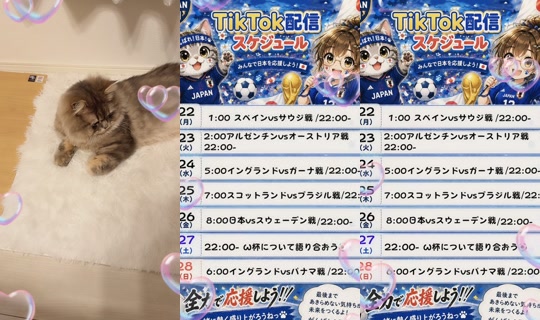 supermelonchan__'s Stream - Jun 23, 2026, 2:12 PM