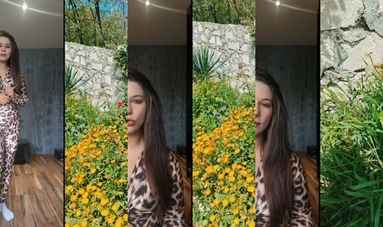 tamalutka01's Stream - May 18, 2026, 9:01 AM