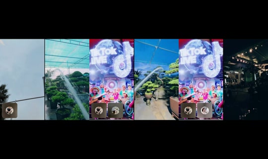 tayrambo_bonsai's Stream - May 22, 2026, 11:25 AM