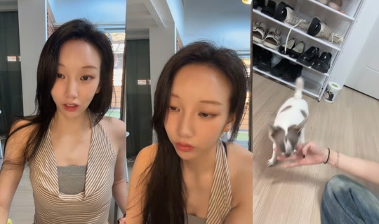vvyuee's Stream - Jun 26, 2026, 6:17 AM