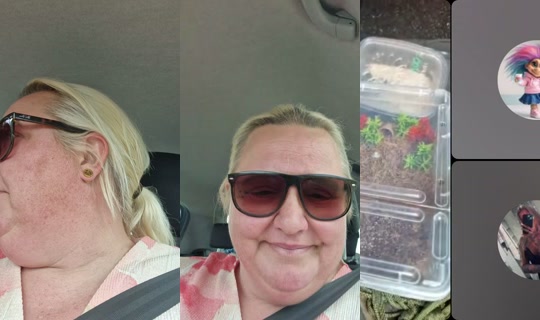 .sandgaard's Stream - May 29, 2026, 11:20 AM