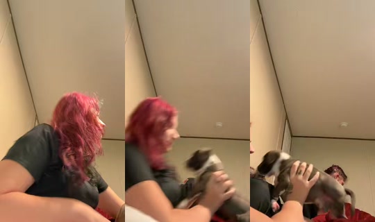 aj_st0ner's Stream - May 25, 2026, 5:32 PM