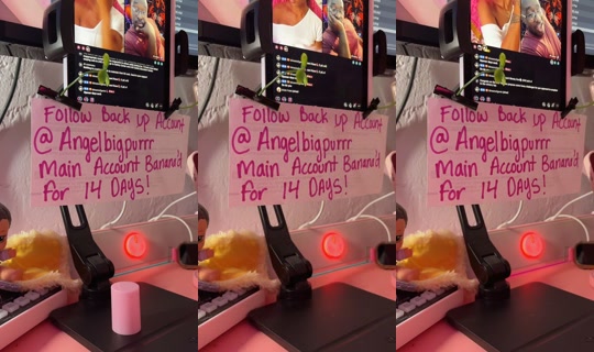 angelbigpurr's Stream - May 24, 2026, 1:49 AM