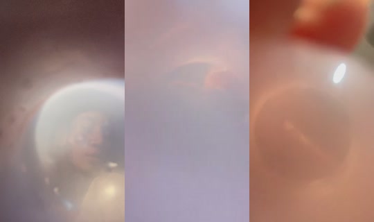 asshbell's Stream - May 30, 2026, 9:15 PM