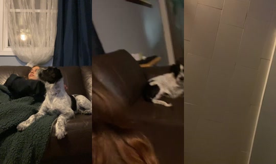 avaawillson's Stream - May 30, 2026, 5:12 AM