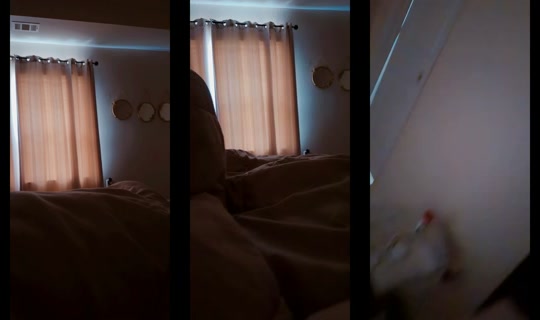 dabosslady81's Stream - May 27, 2026, 3:09 PM
