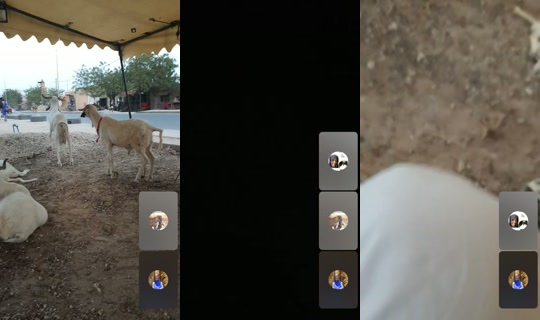 diamsenegal's Stream - May 25, 2026, 7:25 PM