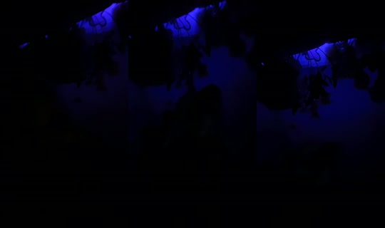 mommy__yam's Stream - Jul 1, 2026, 6:34 AM