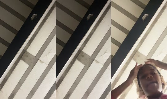 saantyss's Stream - May 22, 2026, 10:12 PM