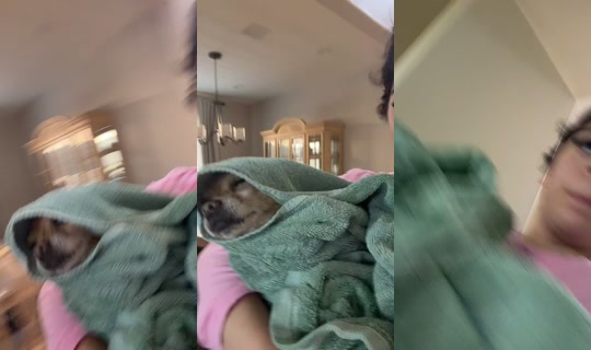 speedtease's Stream - May 29, 2026, 10:01 PM