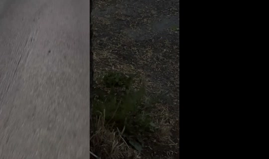 umaad__'s Stream - May 24, 2026, 12:27 AM