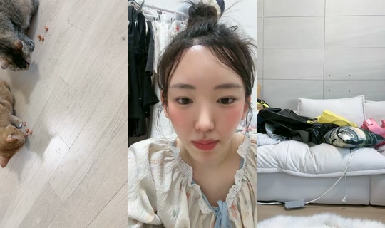 ungdung.e's Stream - May 30, 2026, 9:19 AM