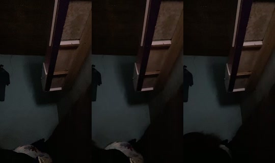 xso_xso's Stream - May 23, 2026, 1:03 AM