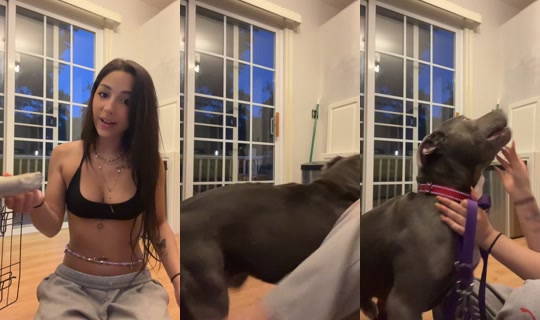 annaofc____'s Stream - Jun 4, 2026, 12:40 AM