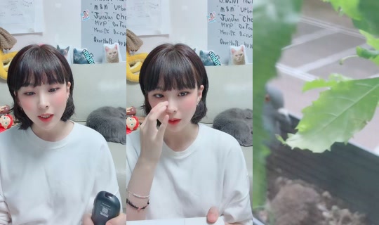 dd920311's Stream - Jun 4, 2026, 7:21 AM