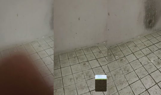 haynnx_'s Stream - Jul 6, 2026, 2:40 PM