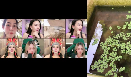jiraporn.282's Stream - Jun 4, 2026, 10:36 AM