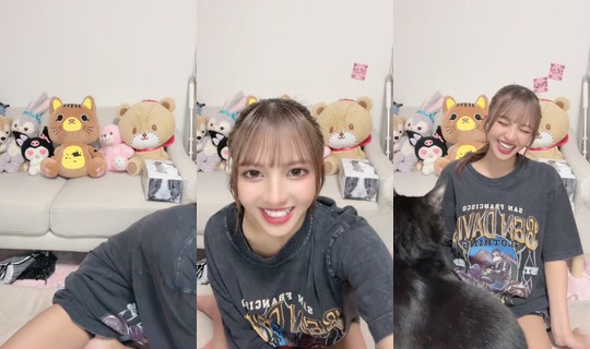 koyamaalice's Stream - Jul 4, 2026, 5:04 PM