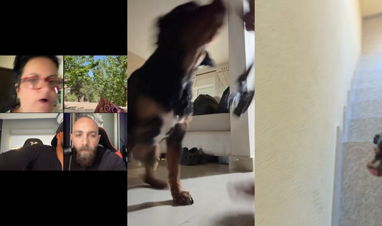 noellekonsol's Stream - Jun 5, 2026, 9:00 AM