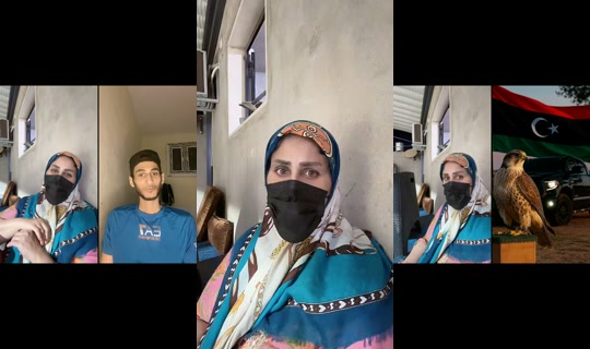 osos.hma6's Stream - Jun 3, 2026, 10:31 PM