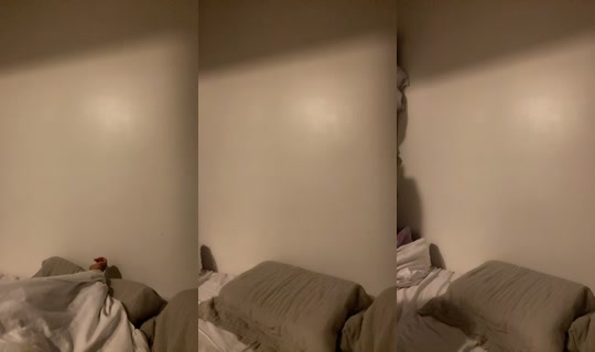 rossy_mt's Stream - Jul 7, 2026, 9:00 AM