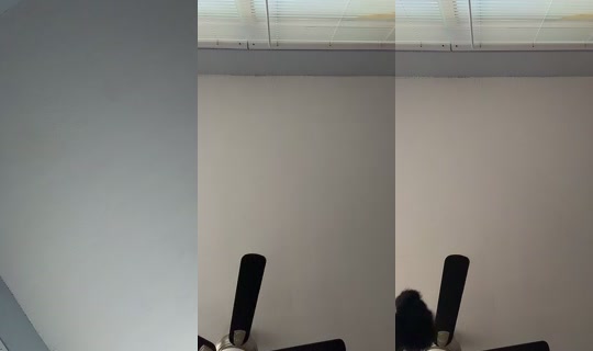 shesonyaa's Stream - Jul 7, 2026, 12:38 PM
