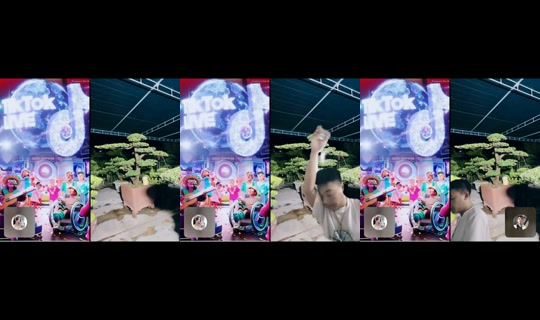 tayrambo_bonsai's Stream - Jun 3, 2026, 12:02 PM