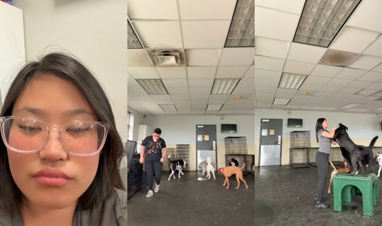 user1057375743's Stream - Jul 4, 2026, 7:05 PM