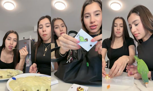 _daniabeltran's Stream - Jun 12, 2026, 2:27 AM