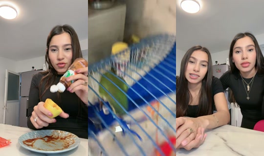 _daniabeltran's Stream - Jun 12, 2026, 3:18 AM