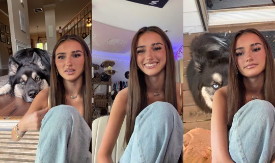 alliebock's Stream - Jun 8, 2026, 6:06 PM