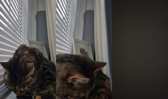 amy_taylorsversion_13's Stream - Jun 9, 2026, 4:17 PM