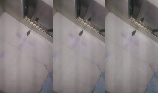 angelacutamora728's Stream - Jun 10, 2026, 2:57 PM