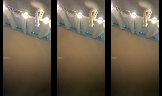 aria29365's Stream - Jun 10, 2026, 4:45 AM