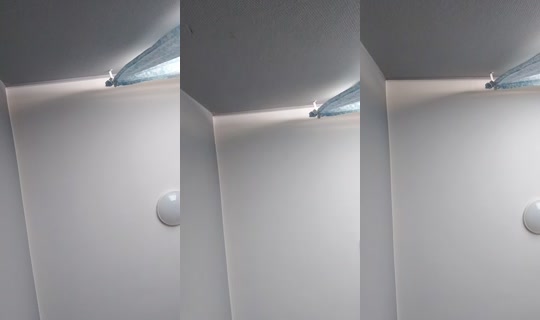 kingspartacuslive's Stream - Jun 7, 2026, 7:31 AM